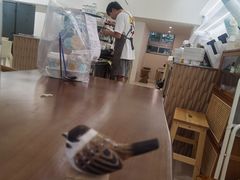 -Oasis coffee燕谷咖啡(公信店)