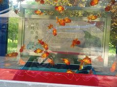 -辛玛王国游乐园