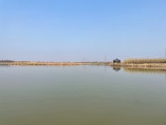 -宁波杭州湾国家湿地公园