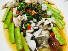 -猪肉婆私房菜(容桂总店)