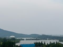 -湖影中餐厅·南京金茂威斯汀大酒店