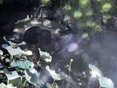 -绮园景区
