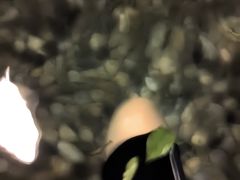 -天目湖涵田半山温泉水乐园
