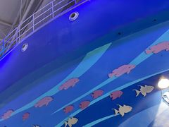 -烟台海昌鲸鲨海洋公园