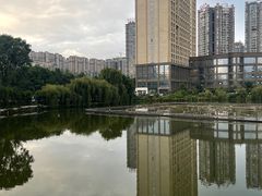 -凤池园