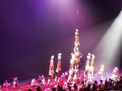 -广州长隆国际大马戏