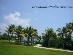 3副本-三亚亚龙湾红树林度假酒店