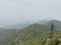 -杭州半山国家森林公园