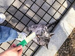 -北京中信金陵酒店