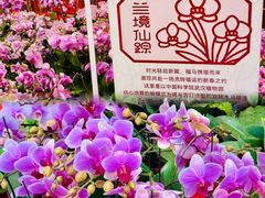 -武汉荟聚