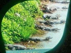 -金钉子远古世界景区