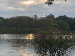-东莞植物园