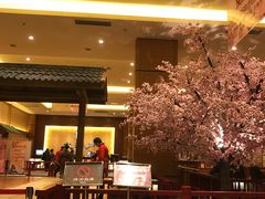 -大江户·温泉洗浴(浑南店)