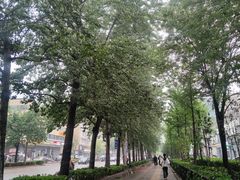 -富力万达嘉华酒店品珍中餐厅