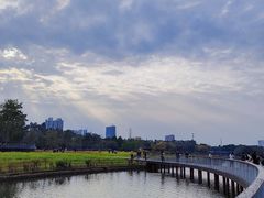 -海珠湖公园