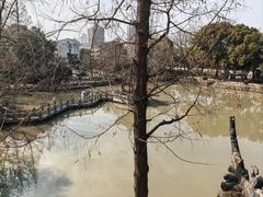 -汇龙潭