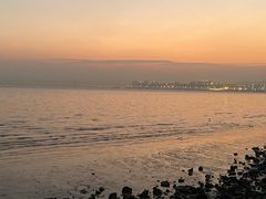 -深圳湾公园(南山区)