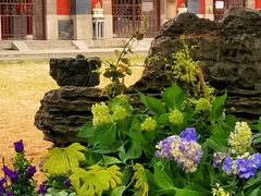 -护国法轮寺