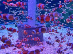-海合安成都极地海洋公园