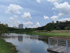 -东莞植物园