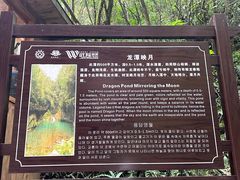 -龙水峡地缝景区