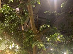 -仙踪林(江燕路万科里店)