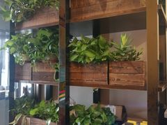 大堂-松子料理(白家庄店)