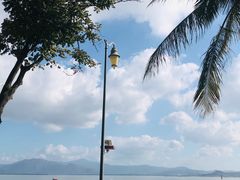 -深圳湾公园(南山区)