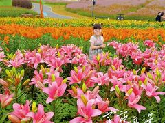 -径山花海