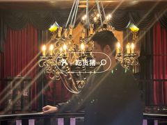 -雪灵魔法世界SHELLY’S TAROT(大良桂畔里店)