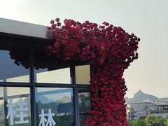 -忆咖啡观景餐厅(桂林象山公园店)