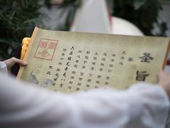 -猫咪博物馆(顶澳仔猫街店)