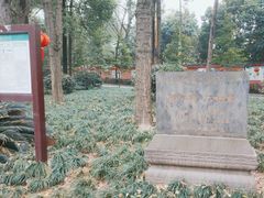 -青羊宫