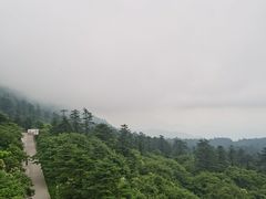 -峨眉山风景名胜区
