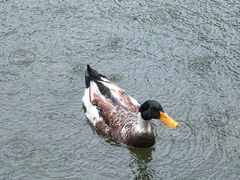 -祝家花園(伯渎港店)