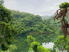 -梧桐山风景名胜区