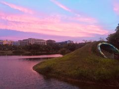 -福田红树林生态公园
