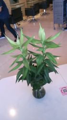 IMAG2694-美秀造型