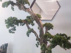 -松鹤楼·非遗·苏帮菜(融科店)