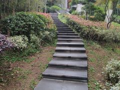 -菊花台公园