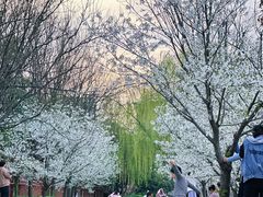 -河南省黄河迎宾馆