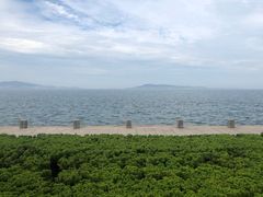 -悦海公园