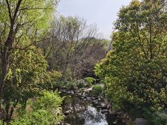 -白马涧龙池景区