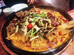 -老板恋上鱼(高新万达店)