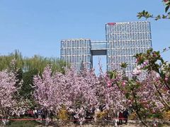 -海棠花溪(元大都城垣遗址公园)