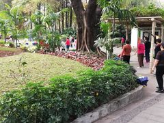 -晓港公园