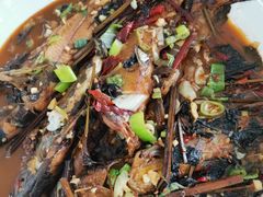 -庆岭迎宾园正宗活鱼馆