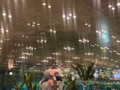 -樟宜机场免税店