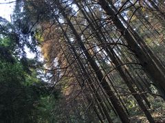 -同里国家湿地公园