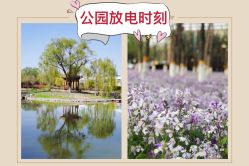 -将府公园儿童游乐场
